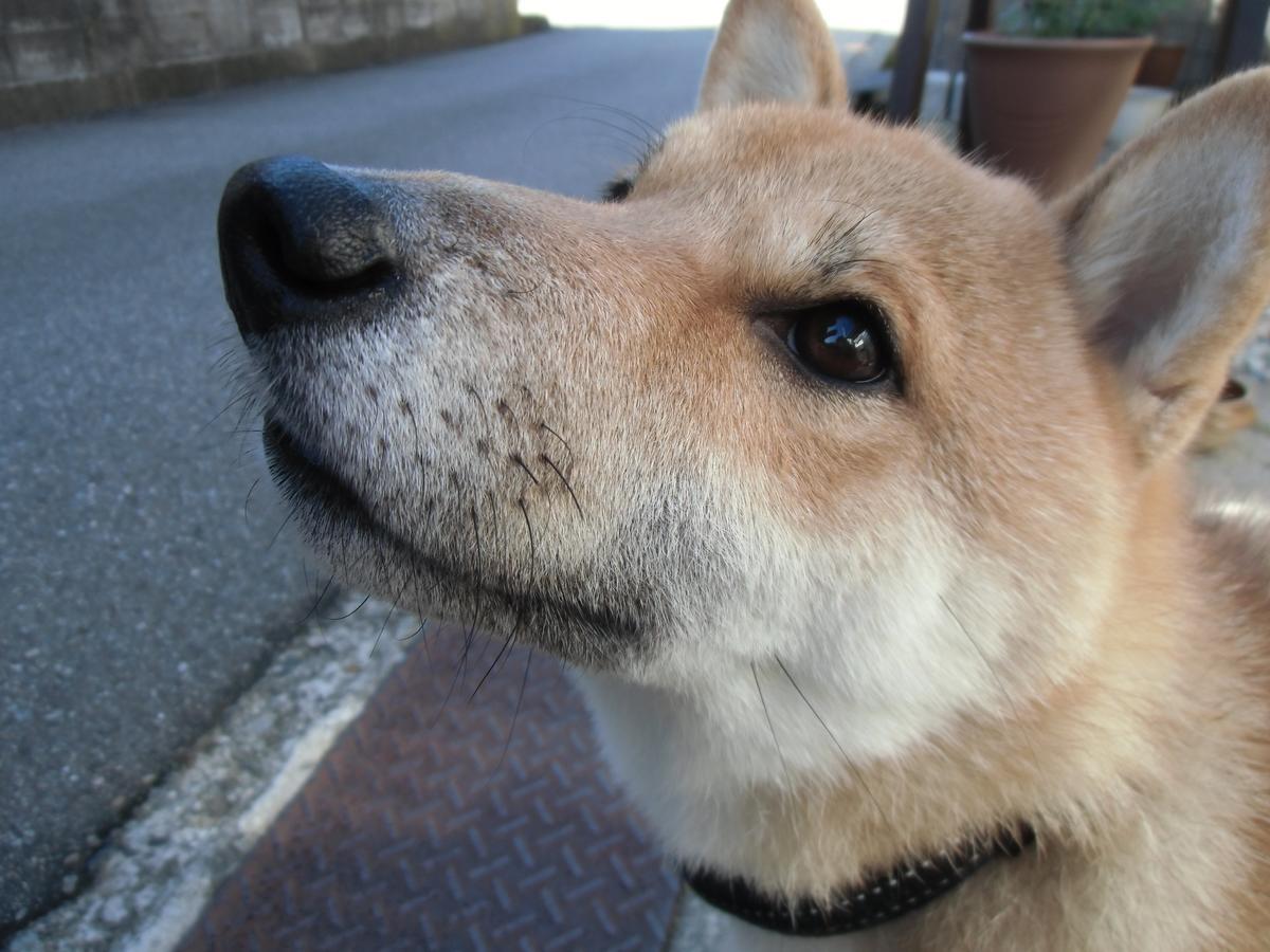 Kanazawa Share House Gaooo Dış mekan fotoğraf