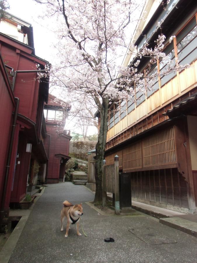 Kanazawa Share House Gaooo Dış mekan fotoğraf