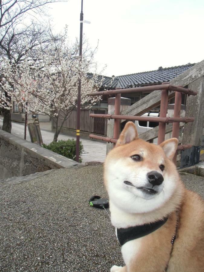 Kanazawa Share House Gaooo Dış mekan fotoğraf