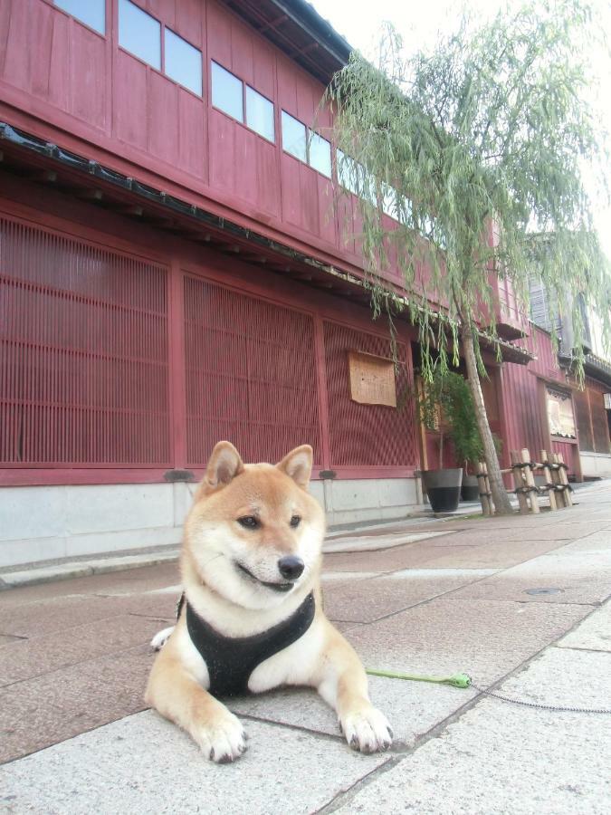 Kanazawa Share House Gaooo Dış mekan fotoğraf